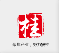 聚焦產(chǎn)業(yè)，努力援桂